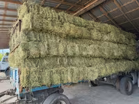 Lucernă — الصورة 2