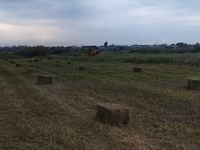 Сено в тюках (прямоугольные тюки) - Заготовлено на луговых травах — 3 зураг