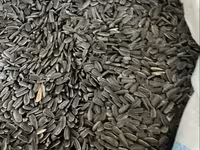 Ծտի կեր արեվածաղիկ մանր — عکس 1