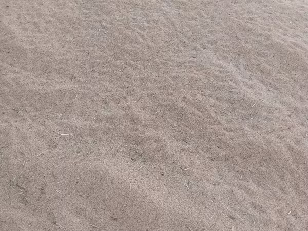 Don sotiladi toza orilgan