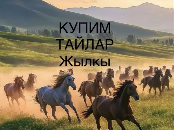 घोड़ा, Horse breed — कज़ाखस्तान