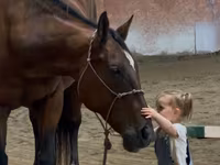 雌馬, Quarter Horse — 写真 4