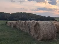 Vind baloti si tiucuri — foto 2