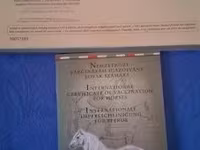 Mare, Horses — photo 7