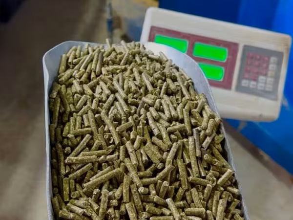 Granule