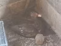 مسکوی خانگی — عکس 2