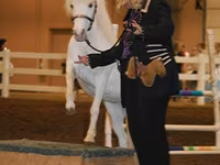 Klisna, Miniature horse — foto 6
