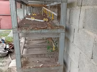 Продаю клетка для цыплят — foto 4