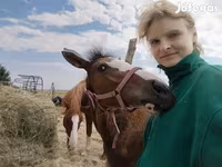 Kuda betina, Hungarian horse breed — foto 3