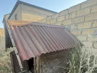 Taxta it evi - Material: tam ağac konstruksiya, qalın taxta gövdə və — รูปภาพ 4