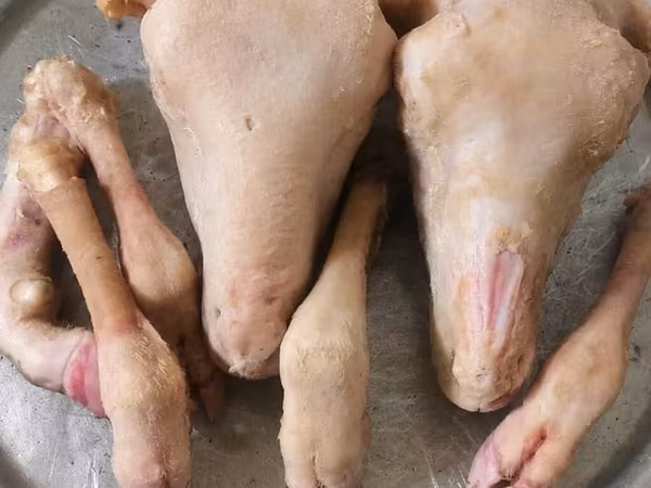 Məhsul: Qoyun başı, ayaqları və içalat dəsti Təsvir: - Tam