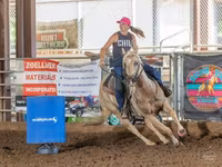 اسب نر, Quarter Horse — عکس 3