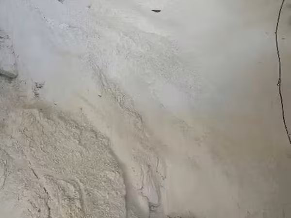 Кальций для животных и птиц.