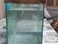 Ակվարիում 30 լիտր — foto 3