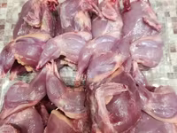 Quails — φωτογραφία 3