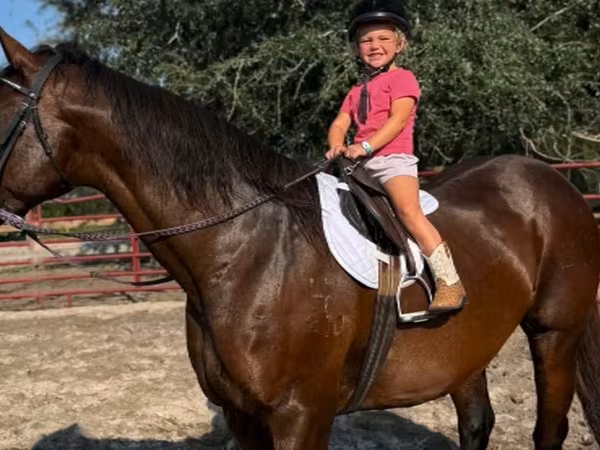 Mare, Quarter Horse