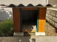 Taxta it evi - Material: möhkəm taxta korpus, yanları boyalı; üst — снимка 1
