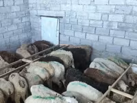 Får, Får — foto 1