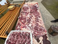 Domba jantan, Rhon sheep — foto 8