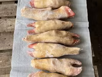 Ноги говяжьи — عکس 5