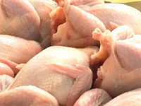 Prepelite: carne, oua, taietei, afumate, marinate, congelate, maioneza, pate, carne inabusita etc.. — photo 2