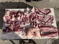 گوسفند (گروه، جنسیت مشخص نشده), گوسفند — عکس 1