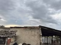 Toro, Bovini — foto 2