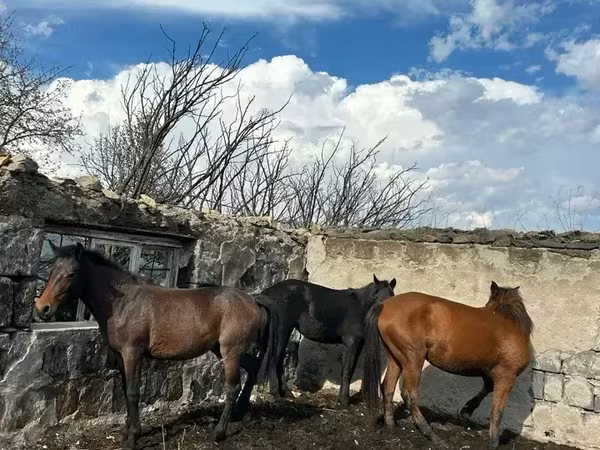 Kanca, Lovak