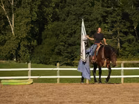 Pastuv, Racking Horse — fotografija 7