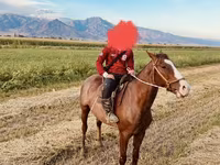 Kůň, Koně — foto 3