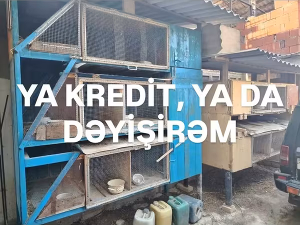 Var 150. 300. 350. 400 hər qiyməti. var