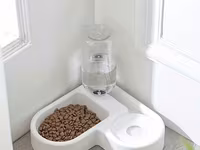 Hamsı bu qiymete Rattan materialdan hazırlanmış dairəvi asma pişik — عکس 5
