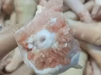 Свиные хвосты — 照片 3