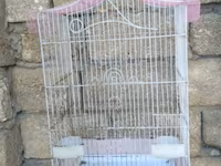 Vatsapla elaqe saxlasyin quslar qefesler Məhsul: Nimfa (Cockatiel) — foto 3