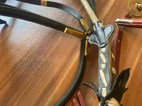 اسب نر, Thoroughbred horse — عکس 3