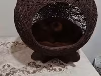 Ev heyvanları üçün dekorativ yuva/evcik - Material: tünd qəhvəyi — φωτογραφία 3