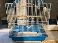 Quş qəfəsi - Material: ağ metallik şəbəkə, mavi plastik altlıq - — foto 1