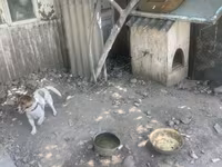 Kiçik ölçülü it evi – it üçün taxta budka - Material: qalın taxta — عکس 5