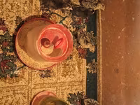 Turkeys — foto 2