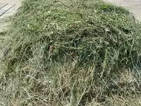 Өвс — الصورة 1