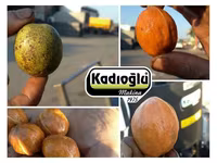 Curăţător de nuci kadioglu nutmec 180e rapid si simplu!!! — foto 4
