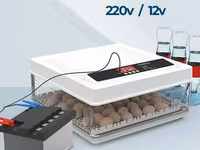 Incubatoare-ouă Automate - fii in rind cu tehnologiile noi. — புகைப்படம் 2