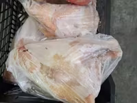 Թարմ, հավեր, մորթած — ছবি 3