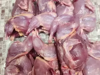 Quails — φωτογραφία 1