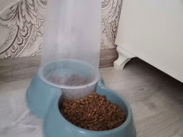 Pişik yemək qabı