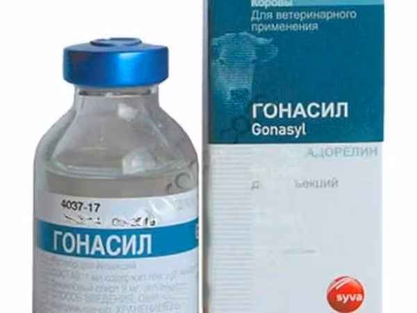 ГОНАСИЛ, 20 МЛ