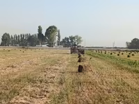 Пресстелген Беде Люцерна сатылат подпокровный арпасын чопко чааб — photo 2