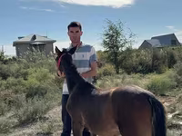 مادیان, Akhal-Teke — عکس 5