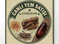 Canlı yem satışı – sürünənlər, amfibiyalar, quşlar və akvarium — الصورة 1