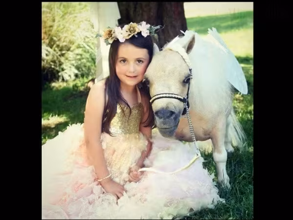 Stute, Miniature horse
